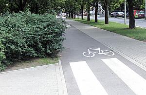 Zarośnięte ścieżki parku Moczydło