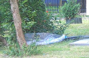 Zaniedbana działka na Syreny