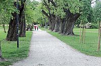 Za mało ławek w parku na księcia Janusza