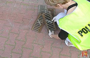 Kucał i do worka wrzucał