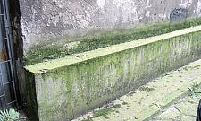 Na Chłodnej toną w deszczówce