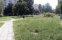 Toaleta dla ps�w na Bazylia�skiej?