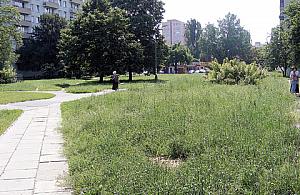 Toaleta dla psów na Bazyliańskiej?