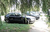 Dziki parking w parku Szyma�skiego