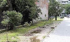 Zawalidroga na Łojewskiej