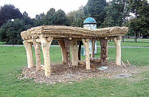 Afrykanin ubarwił Targówek