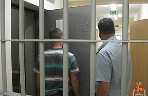 Majcher skrzeszewski