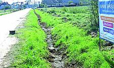 Na Berensona nie tak różowo