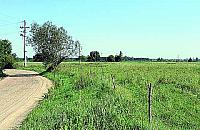 Co dalej z Wyszkowską?