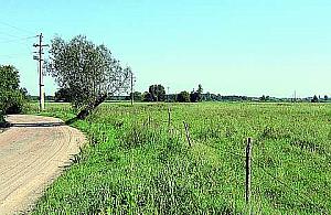 Co dalej z Wyszkowską?