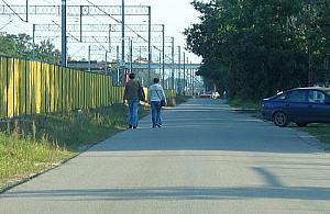 Choszczówka poszkodowana