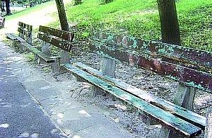 Park Olszyna marną wizytówką