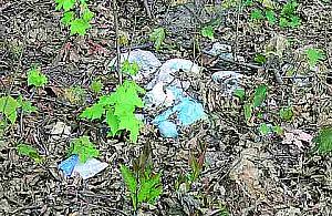 Kto sprzątnie lasek przy Jagiellońskiej?