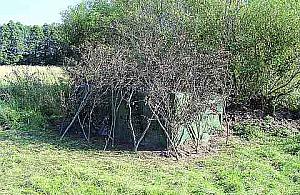 Kto strzela na Cuplu?