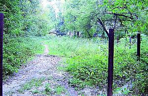 Podleśna bezskutecznie czeka na parking?