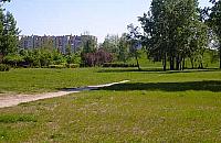 Si�ownia pod chmurk� w Parku G�rczewska