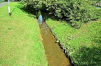 Szczury grasują na Conrada