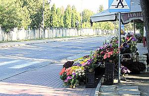 Aleja Legionów - remont w przyszłym roku