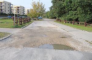 Droga przez wertepy do lasu