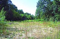 Park Wiśniewo (znowu) do modernizacji