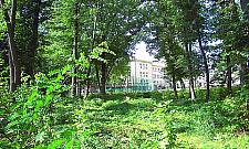 Park Wiśniewo (znowu) do modernizacji