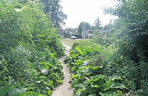 Nie będzie przebicia Sterniczej