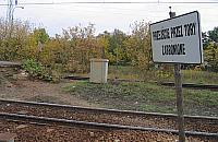 Dzikie przejścia plagą Wawra