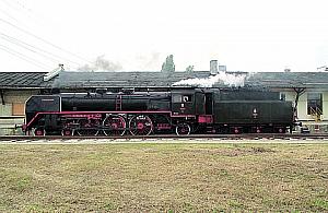 Co będzie dalej z muzeum?