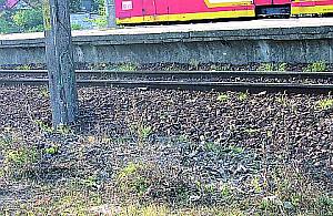 Azbest na torach przy PKP Piaski