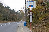 Po co nam autobus 214?