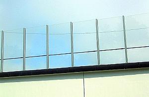 Ptaki uderzają o ekrany na Modlińskiej