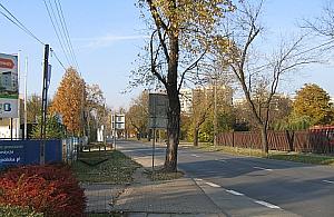 Nie wycięli drzewa, bo starło się oznaczenie