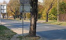 Nie wycięli drzewa, bo starło się oznaczenie