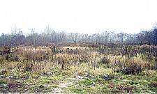 Szkoła przy Zachodzącego Słońca w 2014