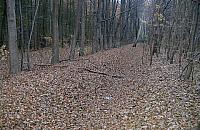 Zn�w �cieki w kana�ku na Grotach