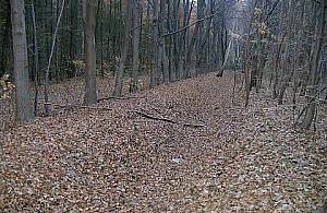 Znów ścieki w kanałku na Grotach