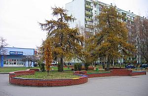 Fontanna na Jelonkach?