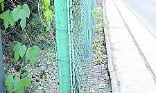 Ciuchcią do Wiśniewa