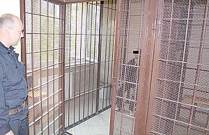 Bielański kinoman-oszust