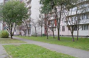 Bazyliańska: przeszkadza im wszystko