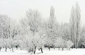Zima na Bemowie już startuje