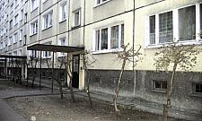 Na Jagiellońskiej tną drzewa