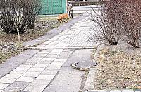 Niebezpiecznie na Bazylia�skiej