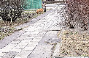 Niebezpiecznie na Bazyliańskiej