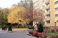 Jedni segreguj�, inni za�miecaj�