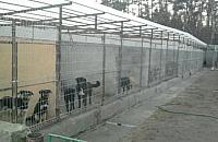 Józefów pod patronatem Straży Zwierząt