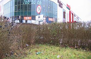 Bałagan koło Maxima