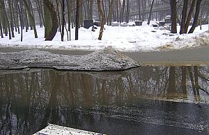 Jeden telefon i po problemie?