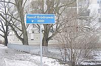 Bobry polubiły Bródno!