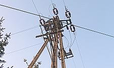 Nie wiadomo, kto zabijał ptaki